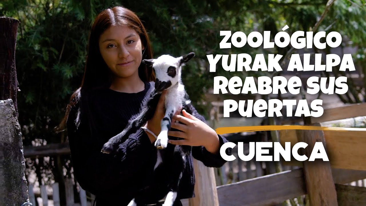 Zoológico Yurak Allpa reabre sus puertas