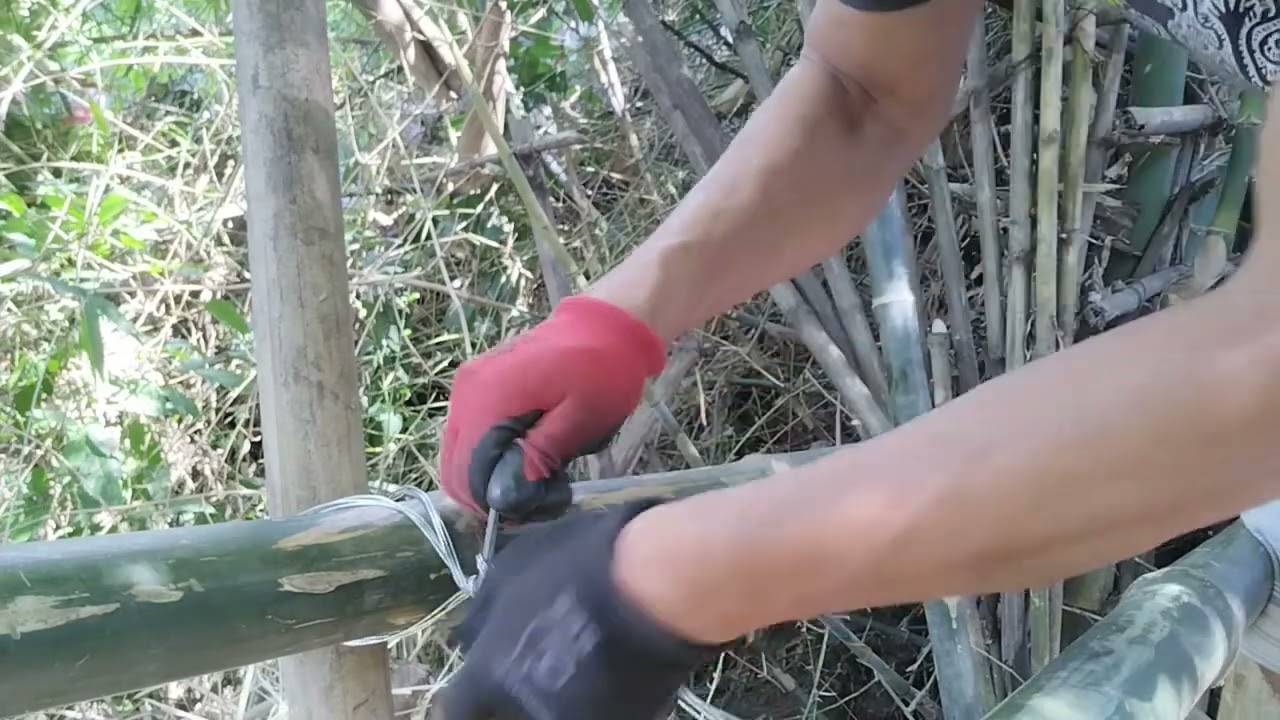 tutorial how to tied bamboo tree using tie wire(1day of making tree house 🏡)