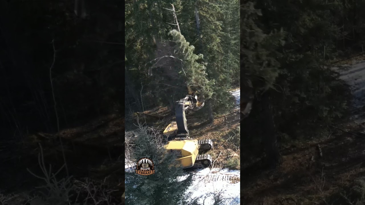 Heavy Equipment stacking timber!  
