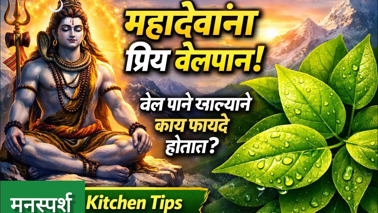 🌿महादेव प्रिय बेल पाने खाल्याने फायदा काय होतो 🌿 किचन टिप्स आरोग्यदायी टिप्स आणि फायदे 