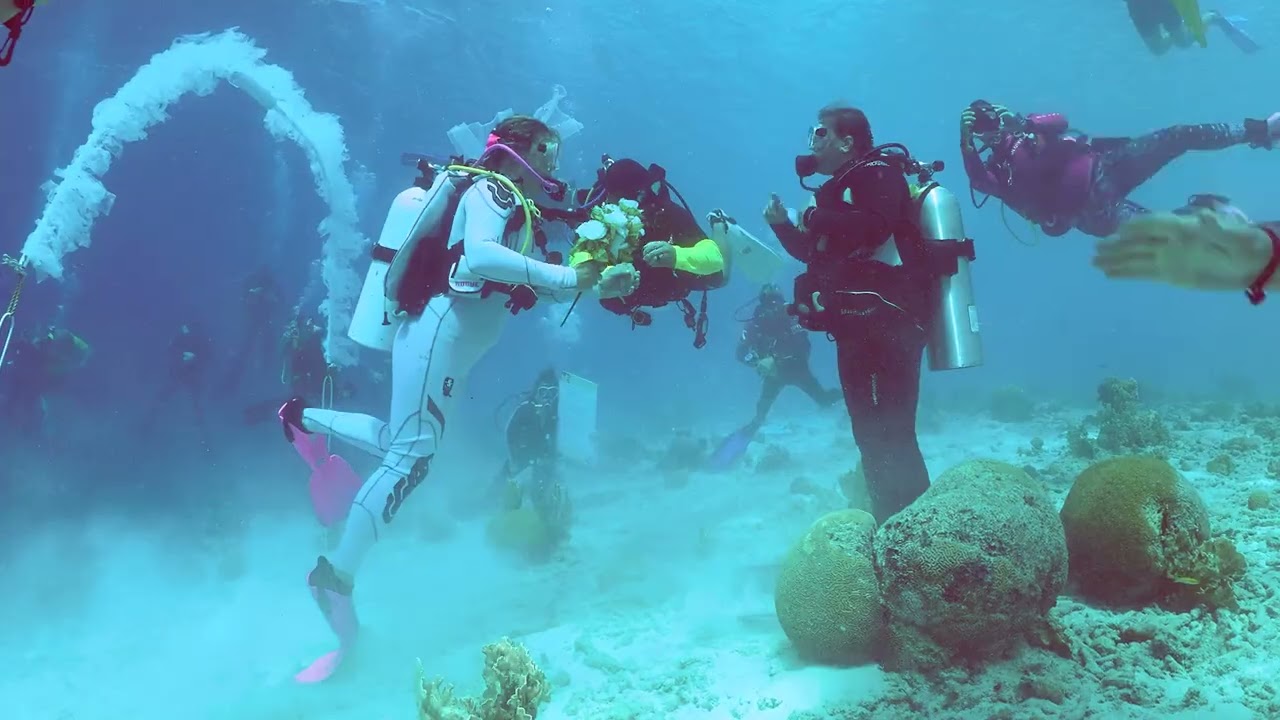 Underwater Wedding Toucan Diving Bonaire - Jamie & Ron