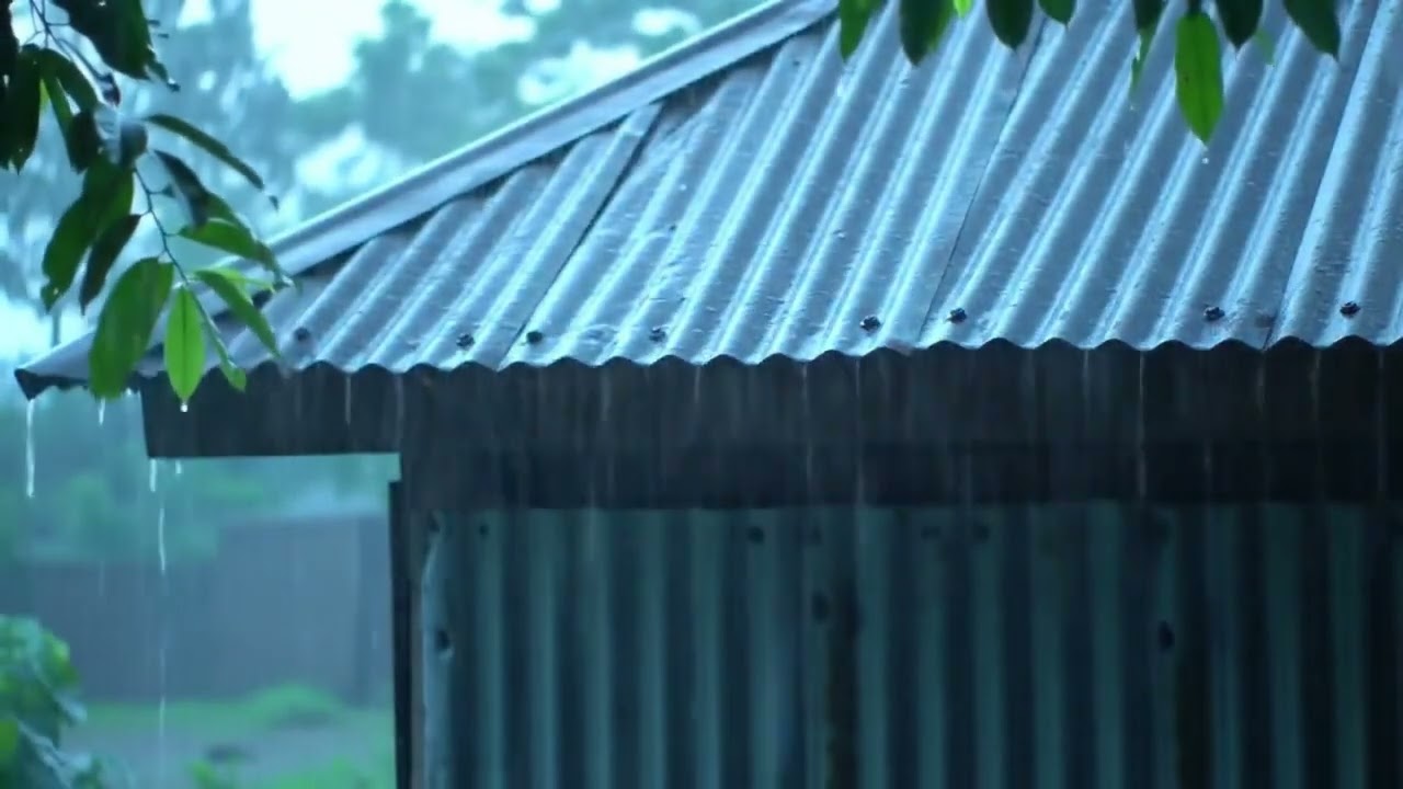 Instant Relaxation & Fall Asleep with Powerful Rainstorm on Tin Roof and Mighty Thunder at Night