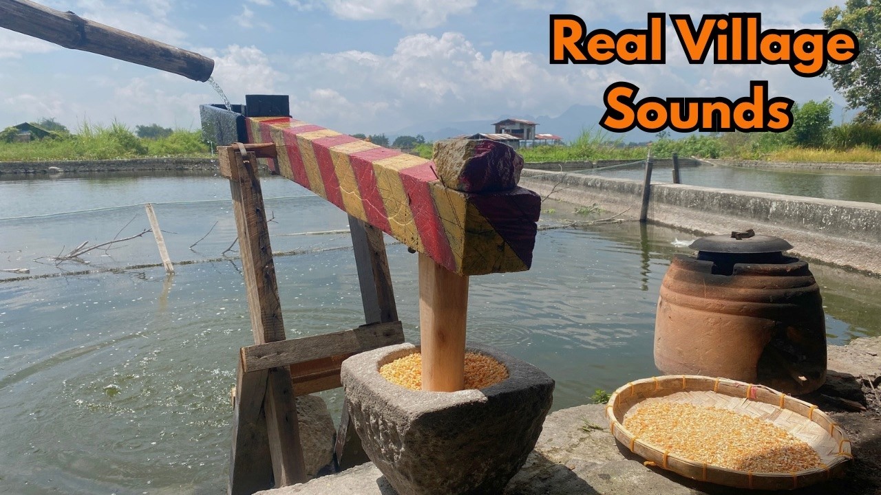 🔴LIVE  Natural Corn Mill Sounds for Sleep & Relaxation