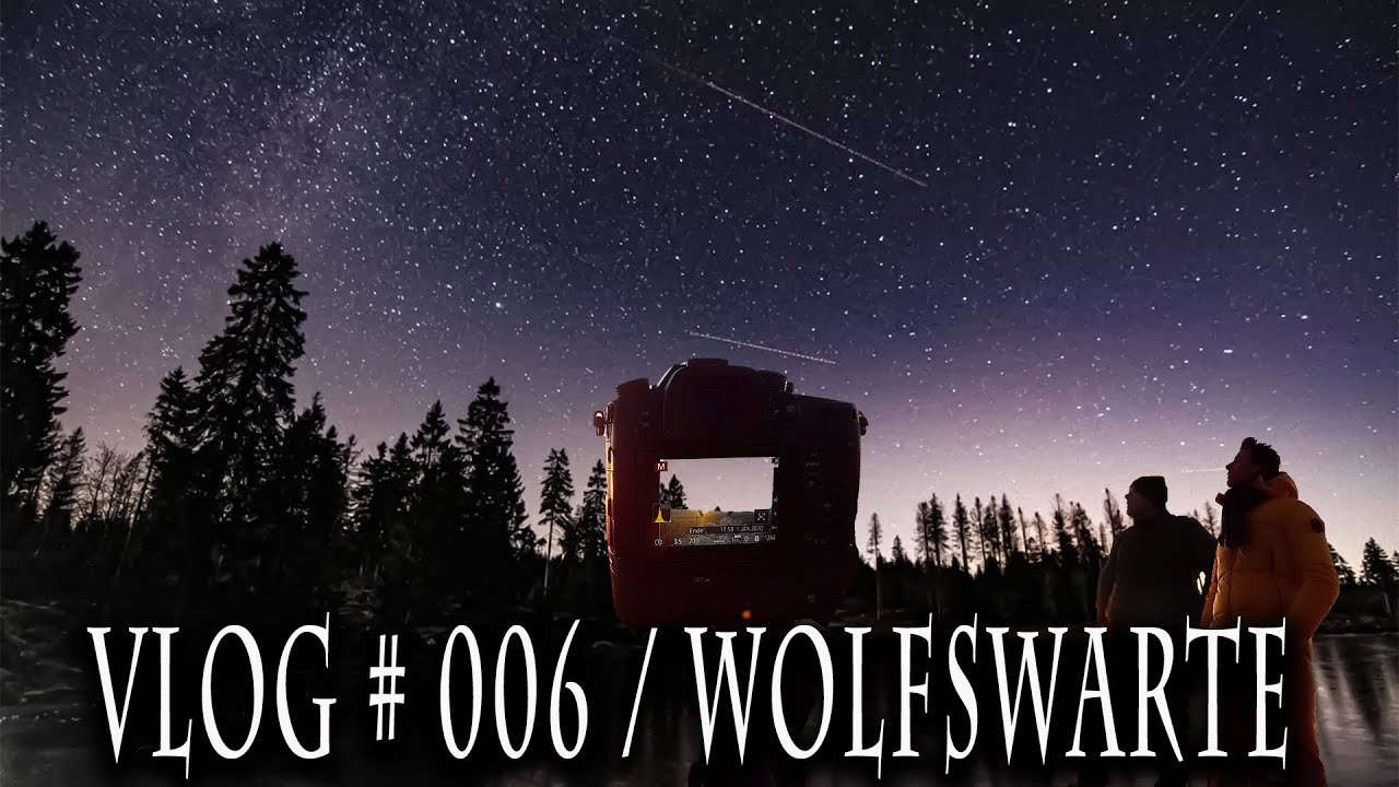 KODI, THE AKITA / VLOG #006  | WOLFSWARTE | HARZ