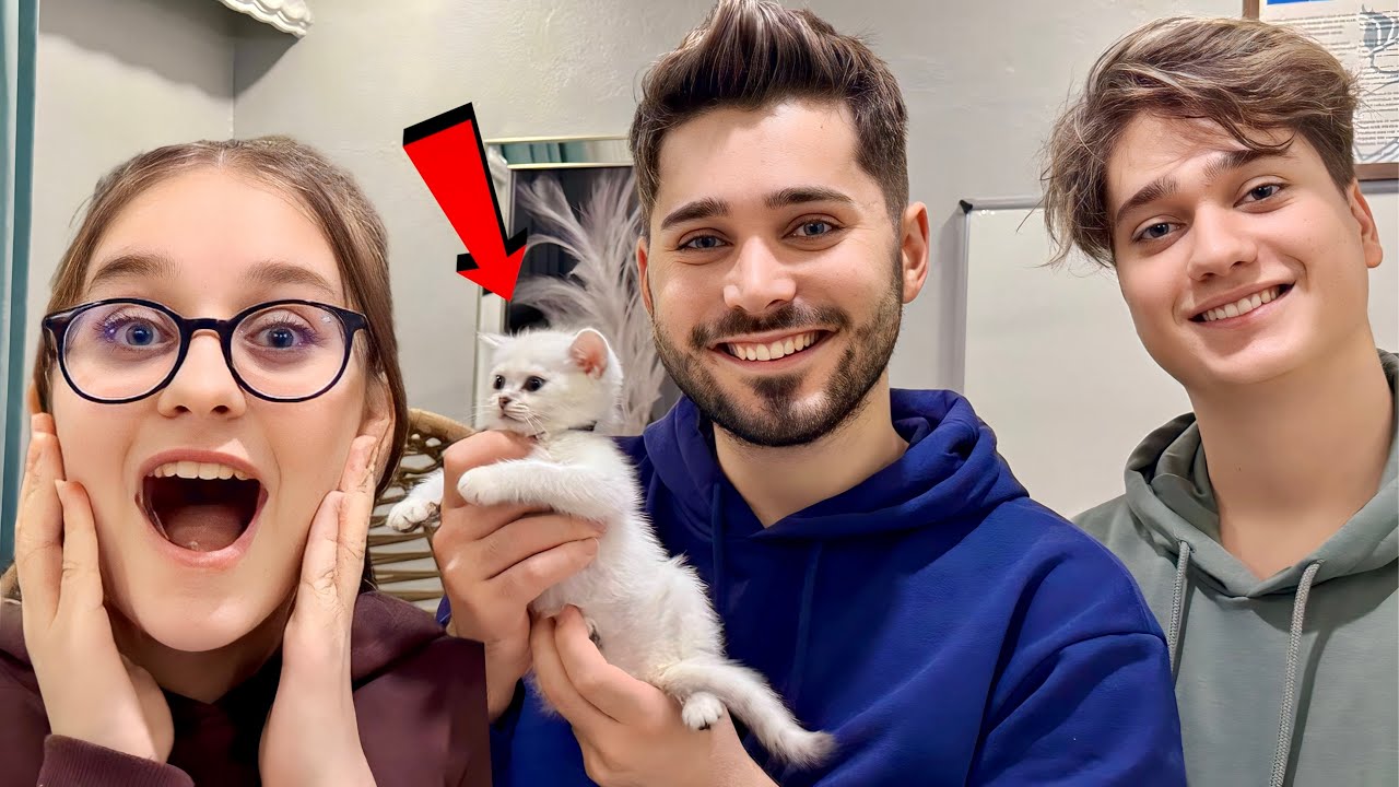 Elif'e Büyük Sürpriz! Kedi Aldık ÇOK SEVİNDİ! Adı Ne Olsun?