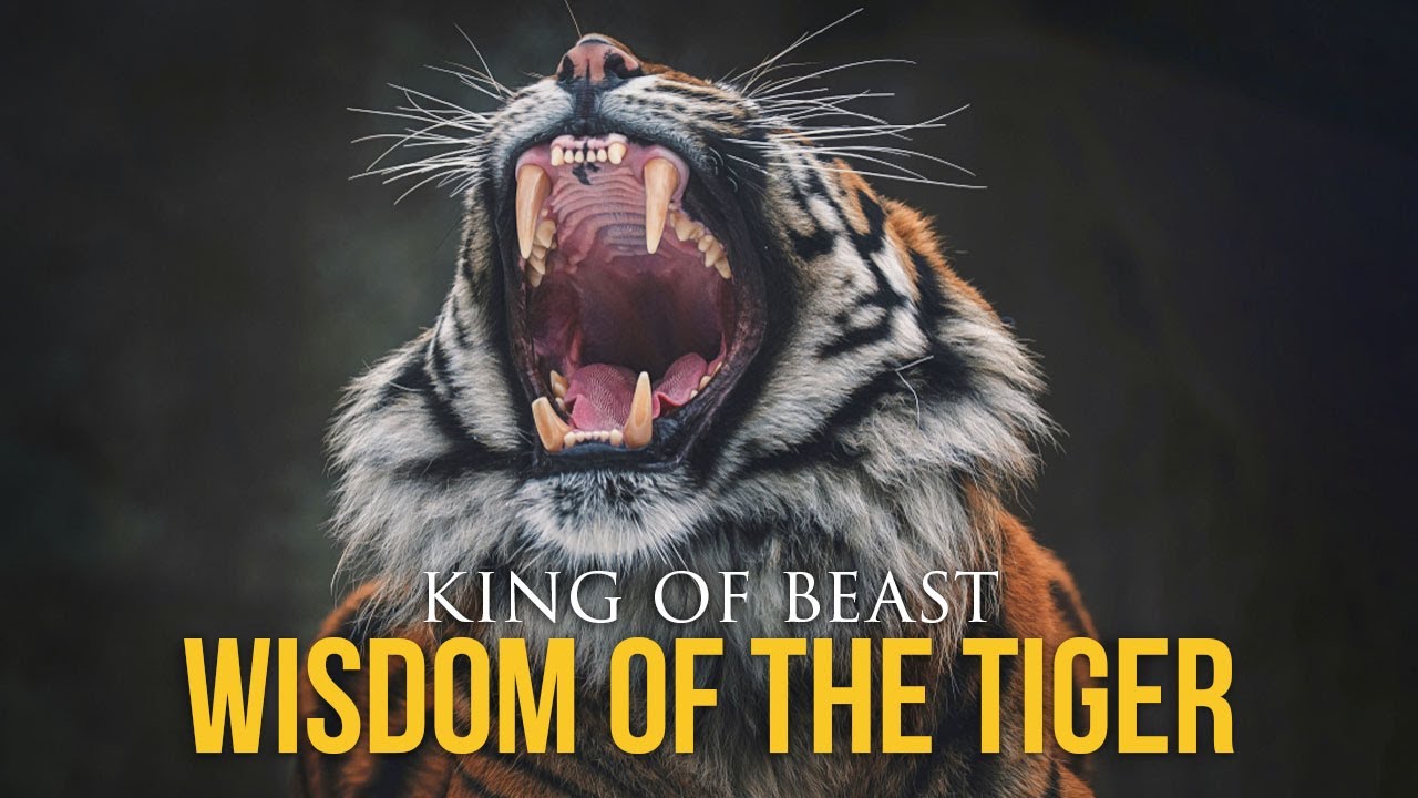 Wisdom Of The Tiger - Powerful Motivational Video