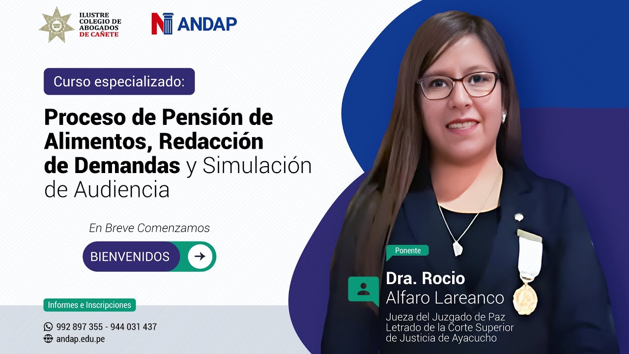 NUEVO PROCESO DE PENSIÓN DE ALIMENTOS   Ley N° 31464