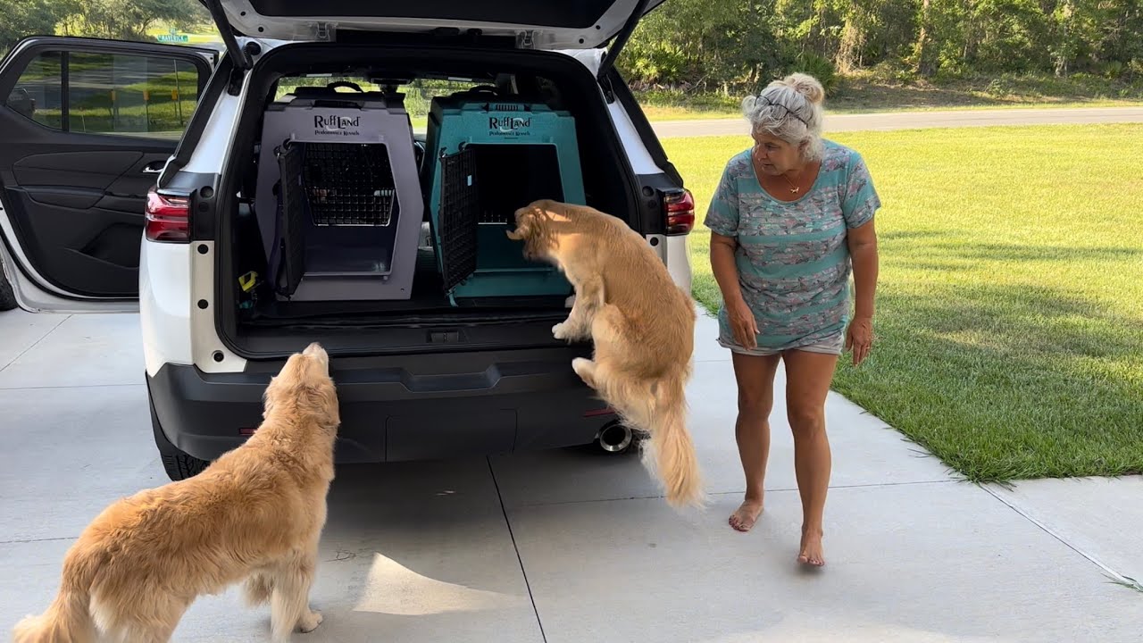 RuffLand Kennels: Our Thoughts after 7K Mile Road Trip.