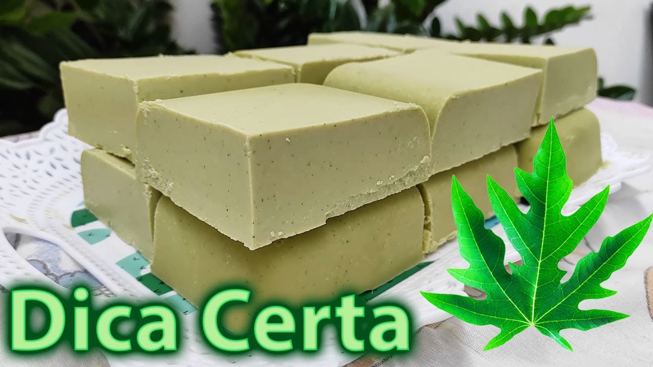 SABÃO DE FOLHAS DE MAMÃO (A MELHOR RECEITA DE TODAS) - DICA CERTA #63