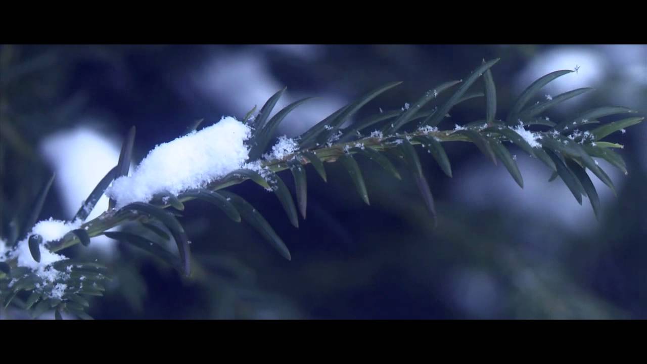 Sony PMW EX1 | Snow In Birmingham | Sony EX1