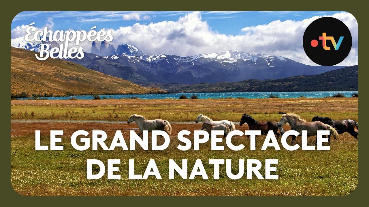 Patagonie, le grand spectacle de la nature - Échappées belles