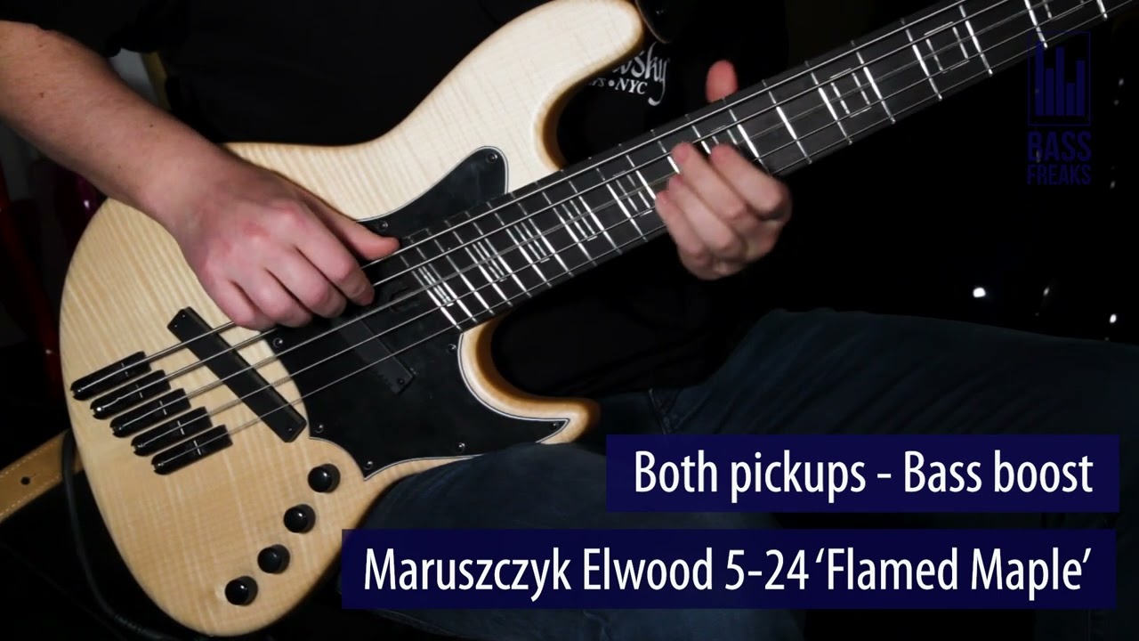 Maruszczyk Elwood L5A-24 Multiscale Live Demo - BassFreaks.net