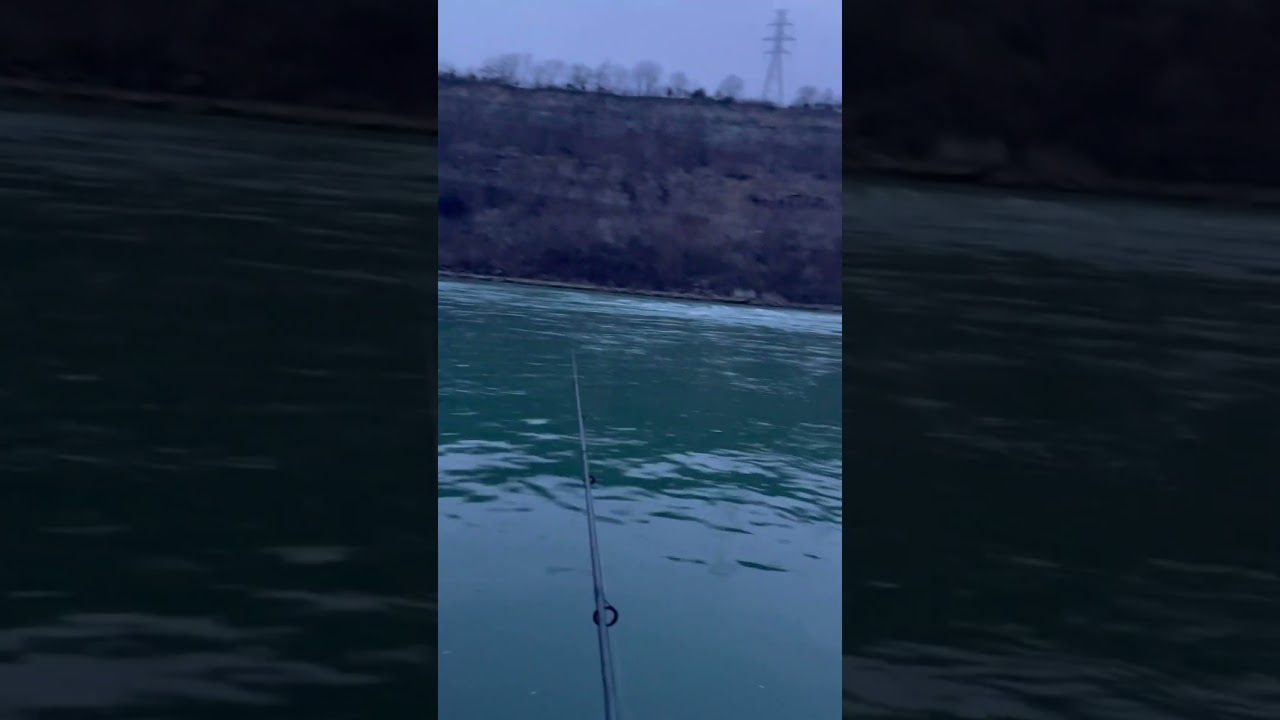 Catching my first Niagara Lake Trout was NOT easy! 