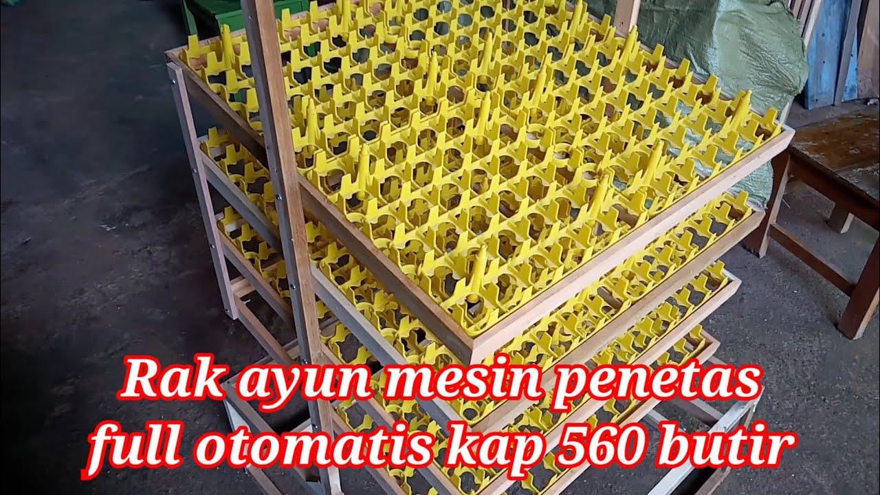 RAK AYUN MESIN PENETAS FULL OTOMATIS|| swing rack incubator