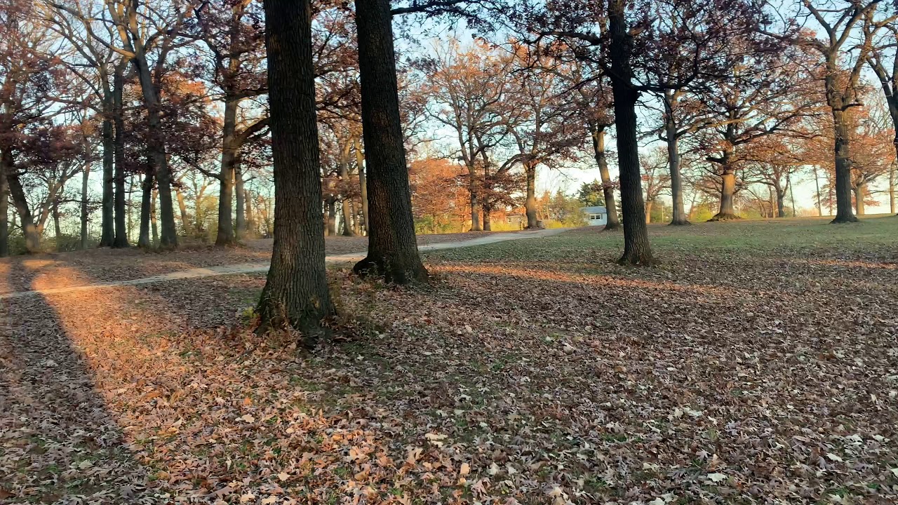 End Fall 2020 Illinois USA