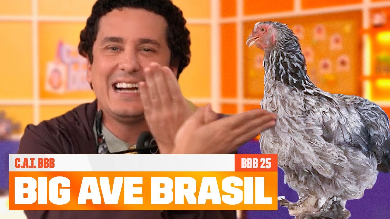 OVO, Galinha, GRALHA e pomba SUJA! 🐔 Seria esse o BIG AVE BRASIL? 🤔 | C.A.T. BBB | BBB 25