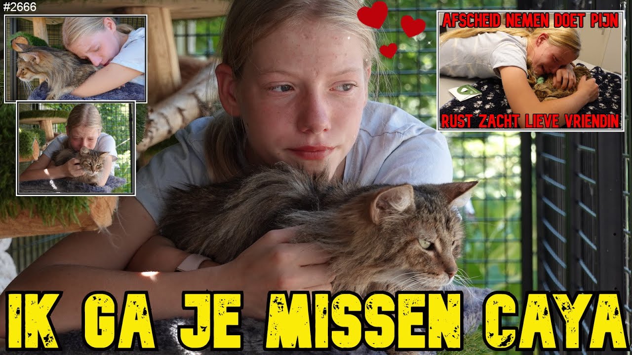 Mijn POES is ZIEK. Vandaag naar de DIERENARTS, helaas komt ze NIET MEER NAAR HUIS. IK MIS JE #2666