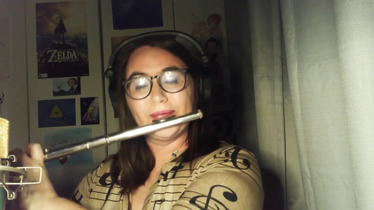 Dream Dreams (Live Flute Cover) (MV)