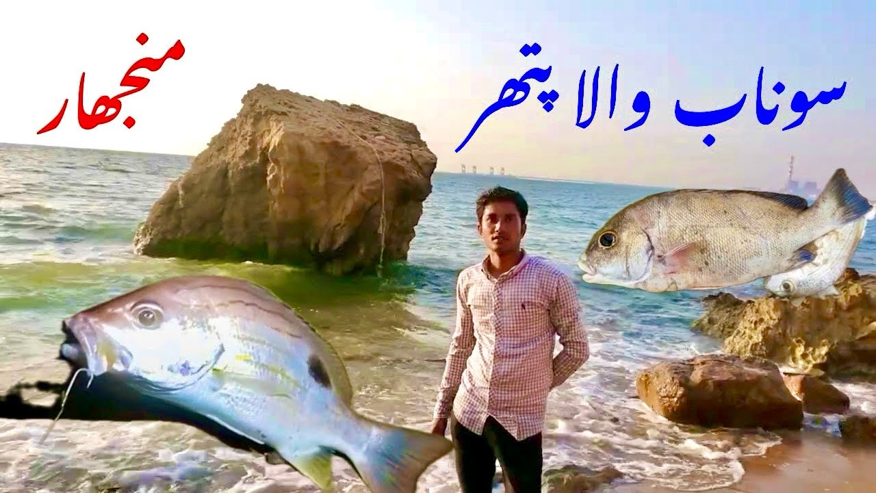 Pompano point fishing! Manjhar fishing! Sonehra fishing