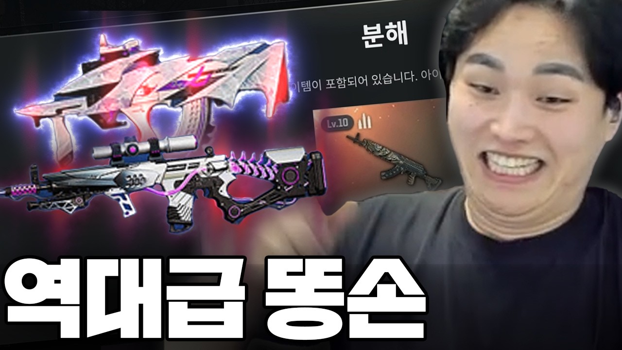 팀원한테 사기 당했습니다...