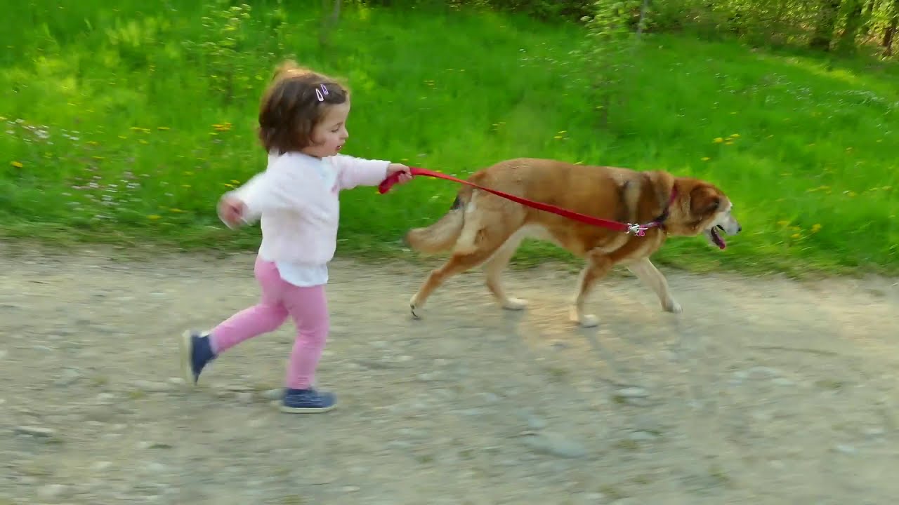 Bless The Beasts And The Children  - Michael Allen Harrison And Julianne Johnson