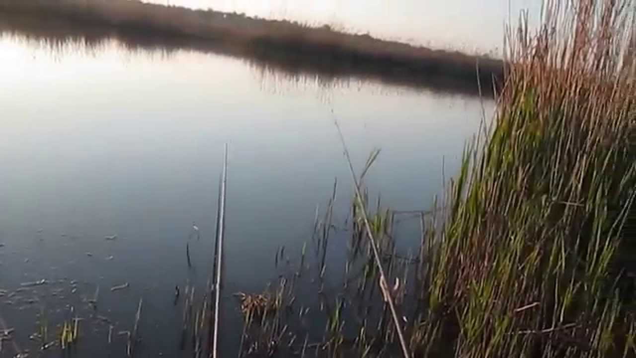 Рыбалка в Татарбунарах