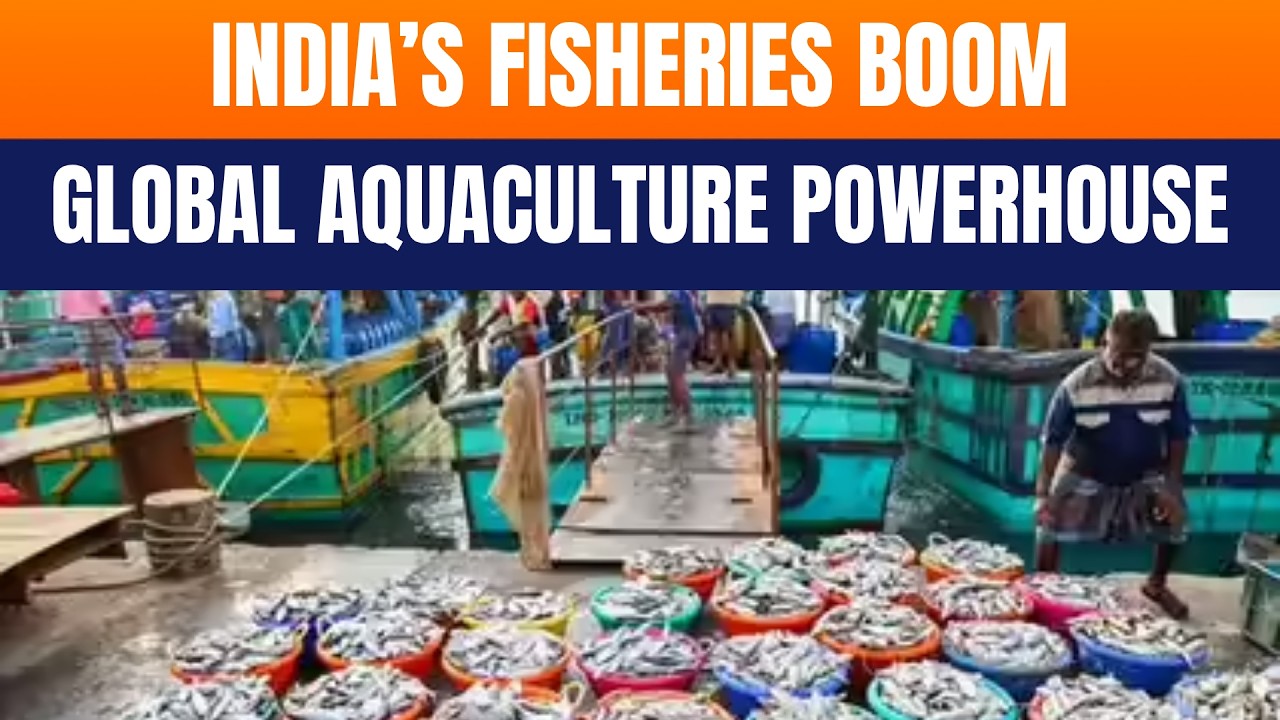 India&rsquo;s Fisheries Boom: Output, Exports Surge | Global Seafood Powerhouse Rising
