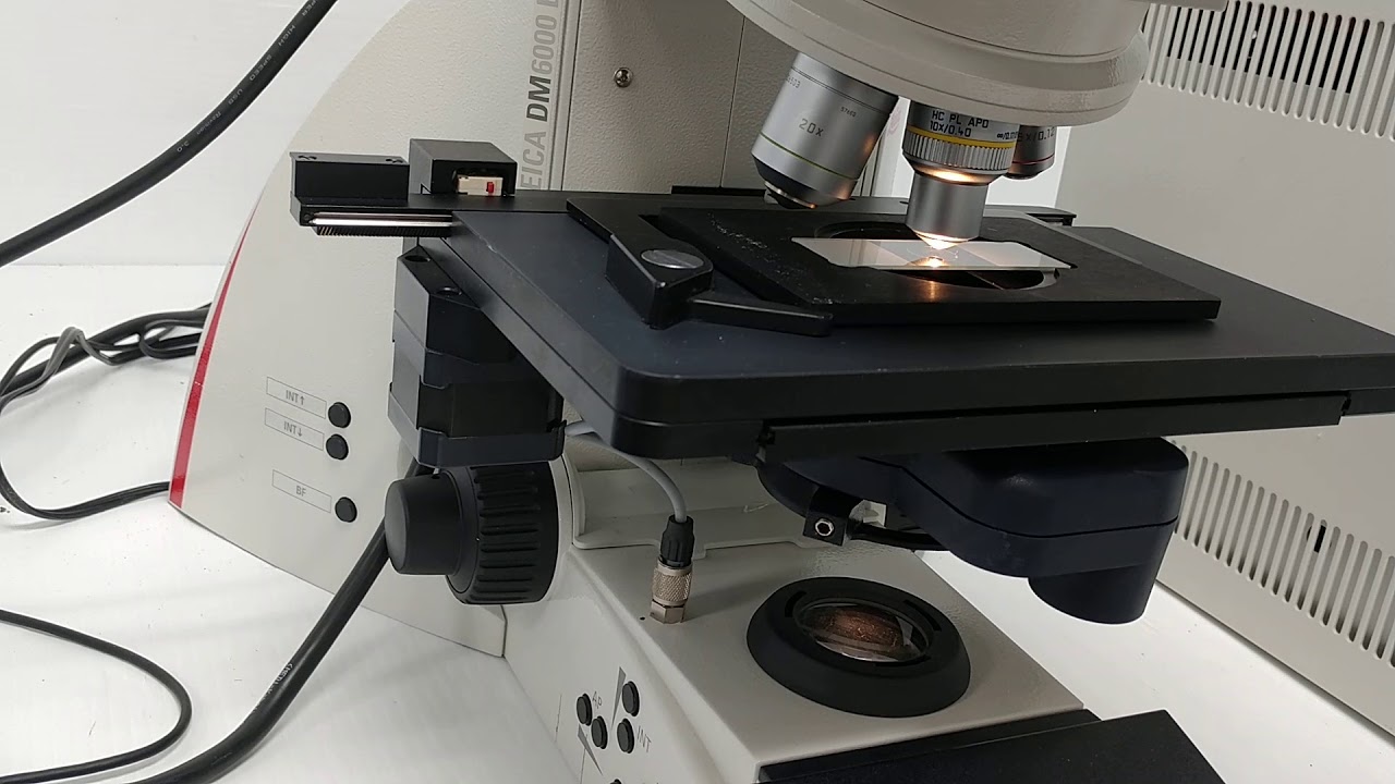 Leica DM6000 B Fluorescence Motorized Microscope [BOSTONIND] - 15307