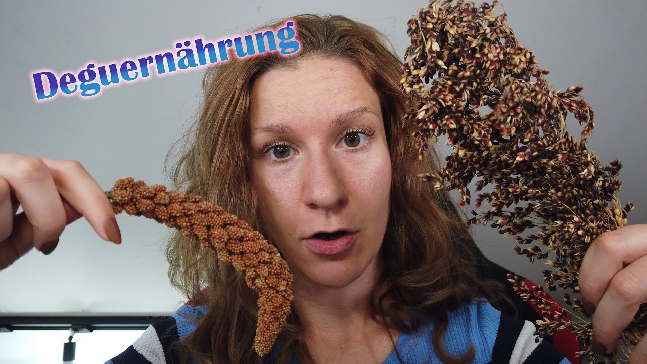 Degus halten - Ernährung & Erlebnisfutter