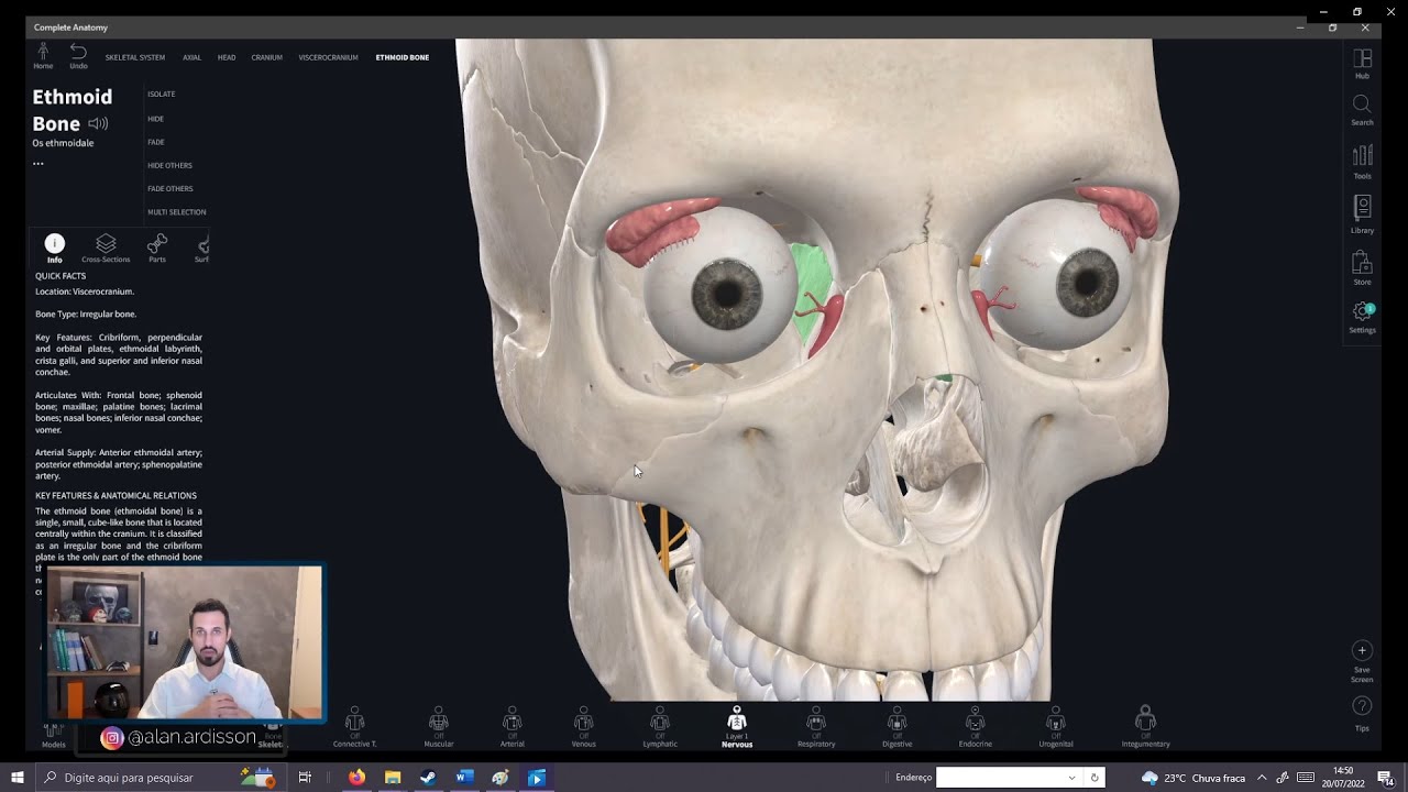 Aula 05 - Anatomia da Cavidade Orbitária [ Prática em Software] [ Sistema Esquelético da Face ]