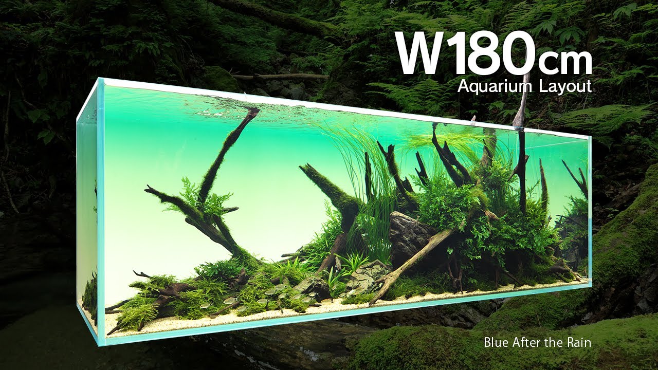 [ADAview] Blue After the Rain 雨過ぎて蒼く  - W180cm Aquarium Layout-【EN/JP Sub.】