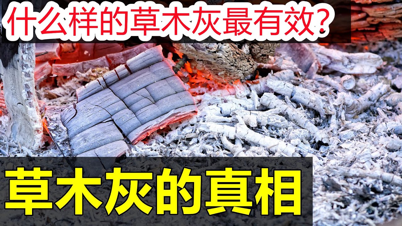 99%的人不知道草木灰的真面目,千万别用错 Real wood ash
