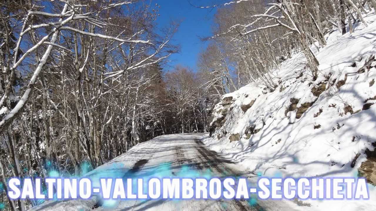 SALTINO VALLOMBROSA SECCHIETA