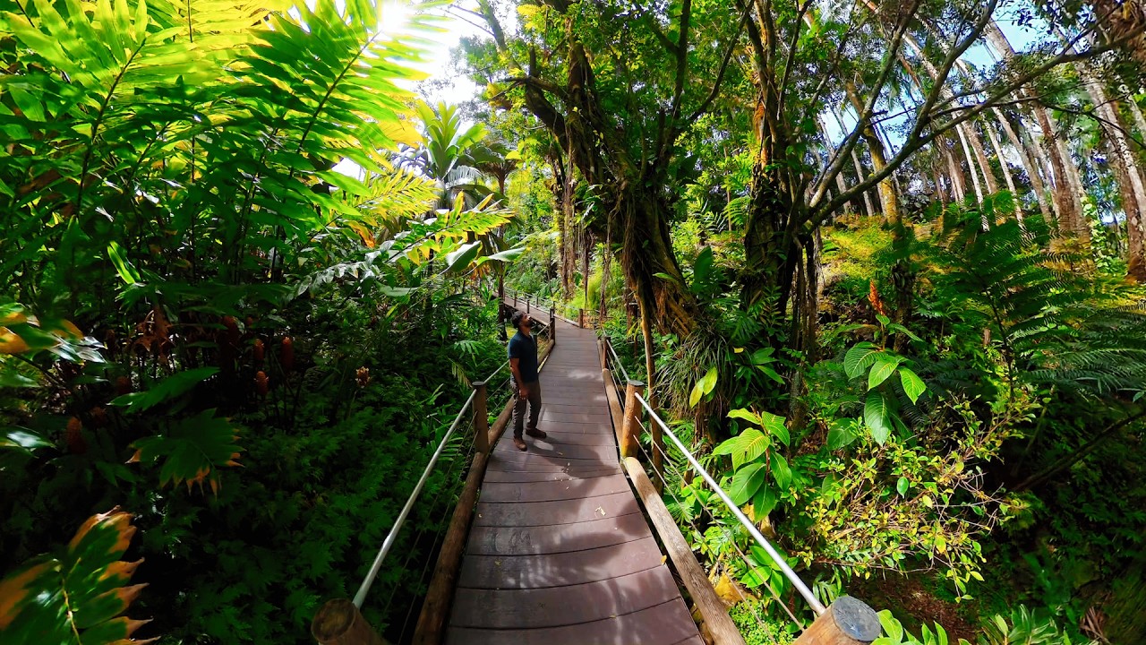 Find Peace Beyond the Crowds | Hawai&lsquo;i Tropical Botanical Garden