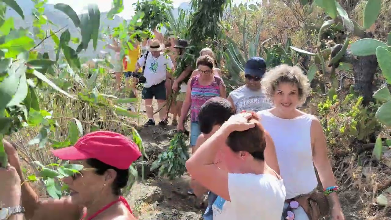 La Rama de San Pedro Valle de Agaete