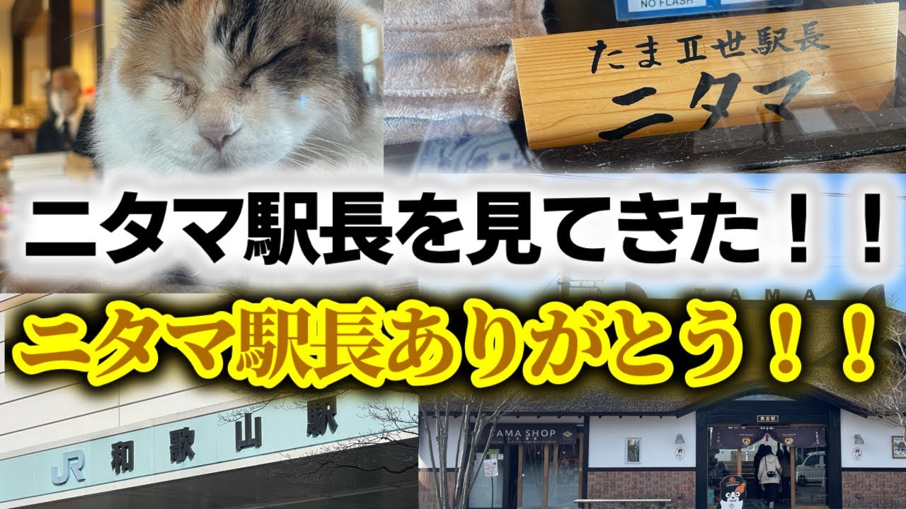 【猫駅長】ニタマ駅長を見てきた！！