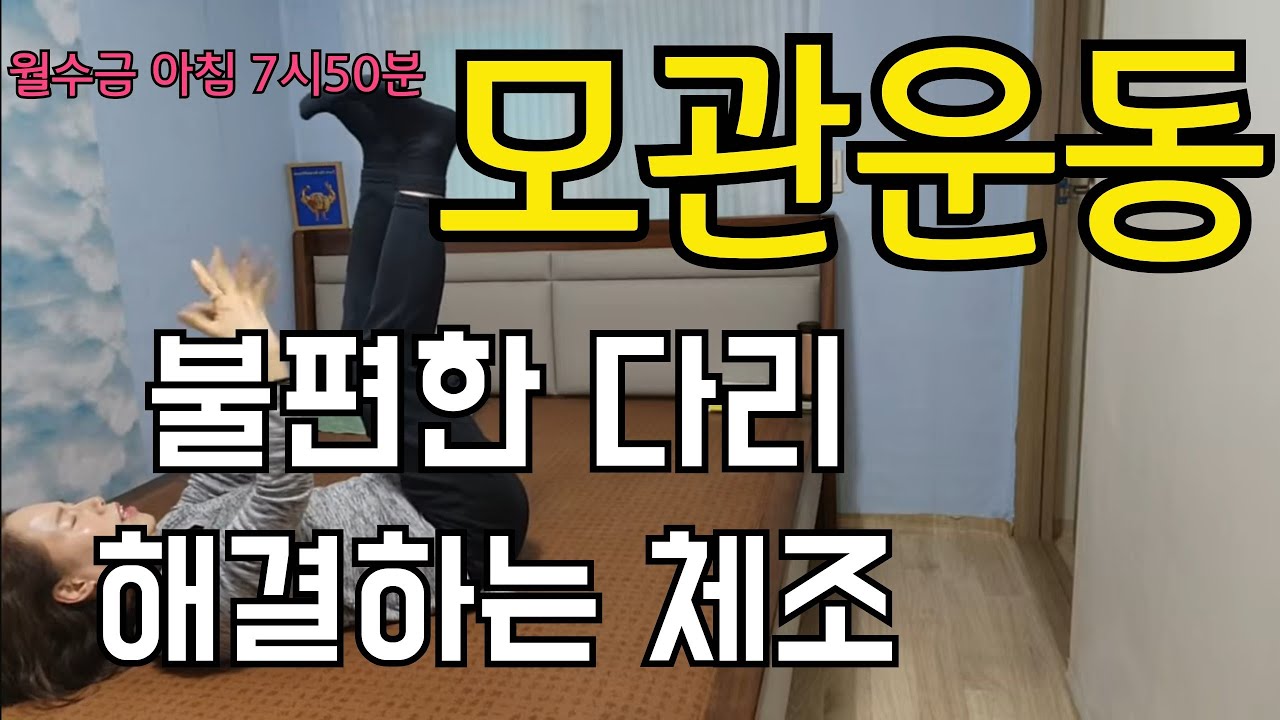 싹다해 손미숙 라이브 스트리밍 중 불편한 다리 문제 해결  모관운동 