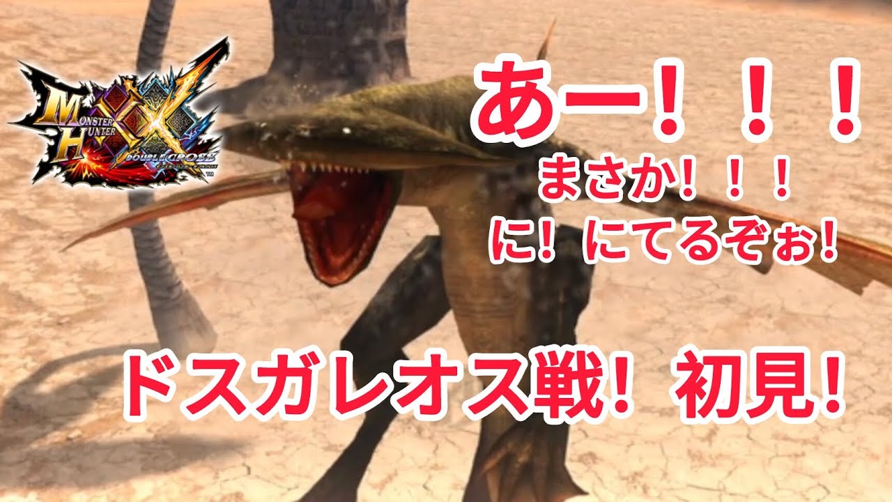 モンスターハンターダブルクロス。ドスガレオス戦！初見！