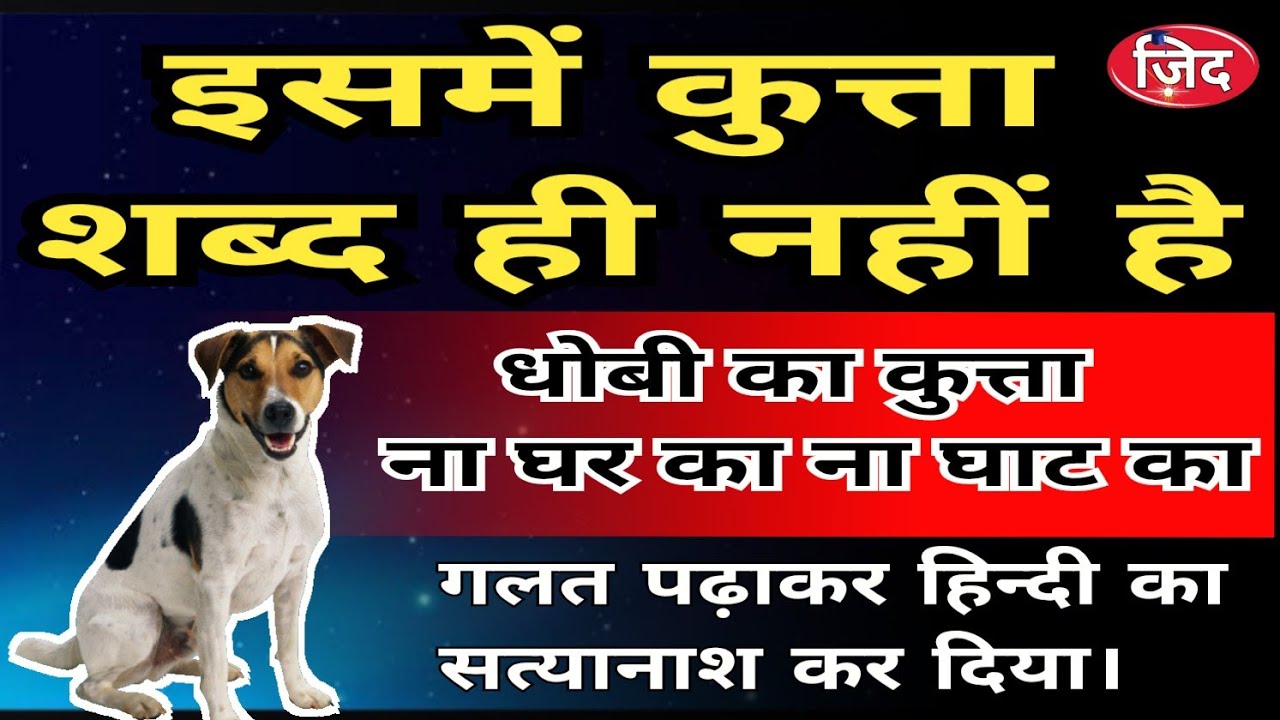धोबी का कुत्ता ना घर का ना घाट का | मुहावरों का इतिहास | मुहावरे एवं लोकोक्तियाँ | #muhavra #hindi 