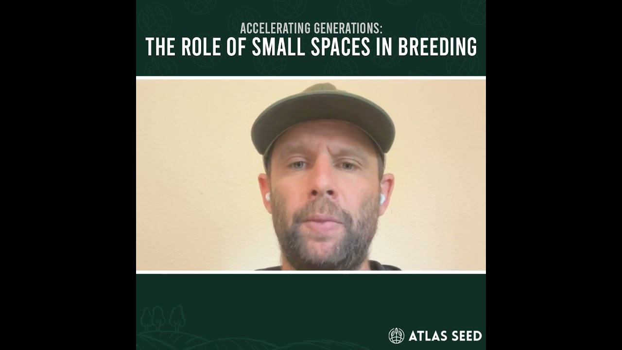 Accelerating Generations - The Role of Small Spaces in Cannabis Breeding Work