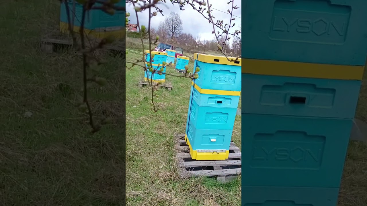 Jeden ul to za mało