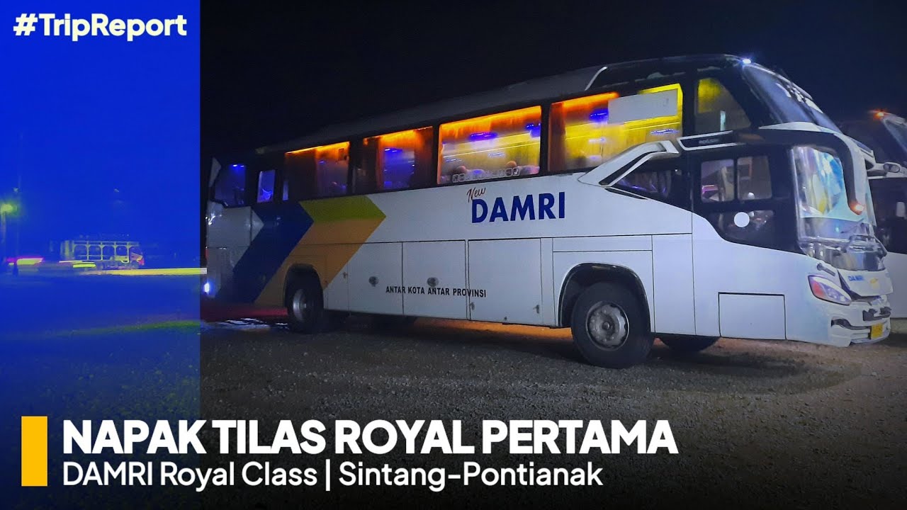 BIS ROYAL PERTAMA KALIMANTAN !!! | Trip Report DAMRI Royal Class Sintang-Pontianak