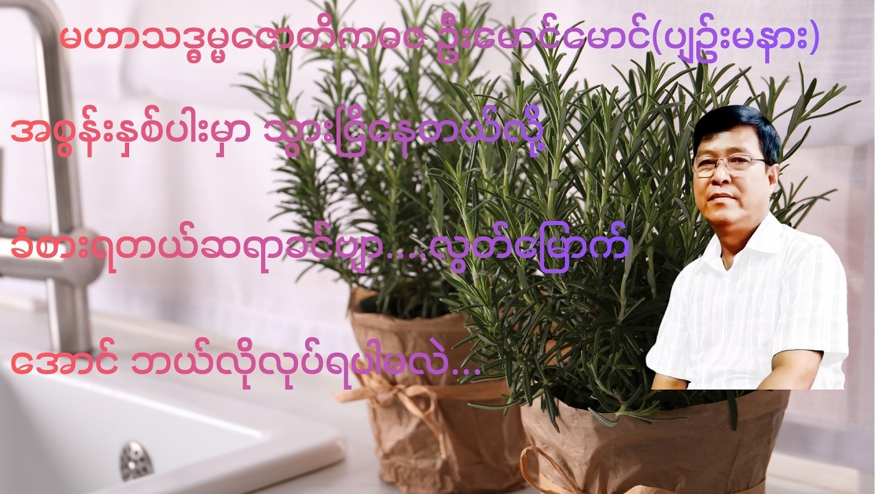 293 💥အစွန်းနှစ်ပါးမှာ သွားငြိနေတယ်လို့ ခံစားရတယ်ဆရာခင်ဗျာ…. လွတ်​မြောက်​အောင် ဘယ်လိုလုပ်ရပါမလဲ...💥