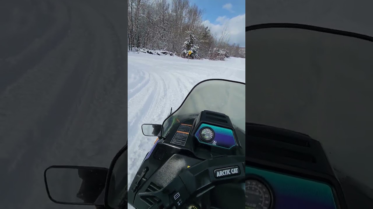 We got some snow! Let's take the cougar for a drive!