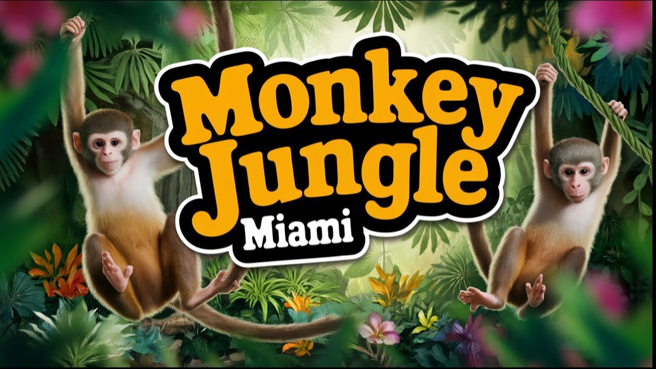 Monkey Jungle Full Tour - Miami, Florida