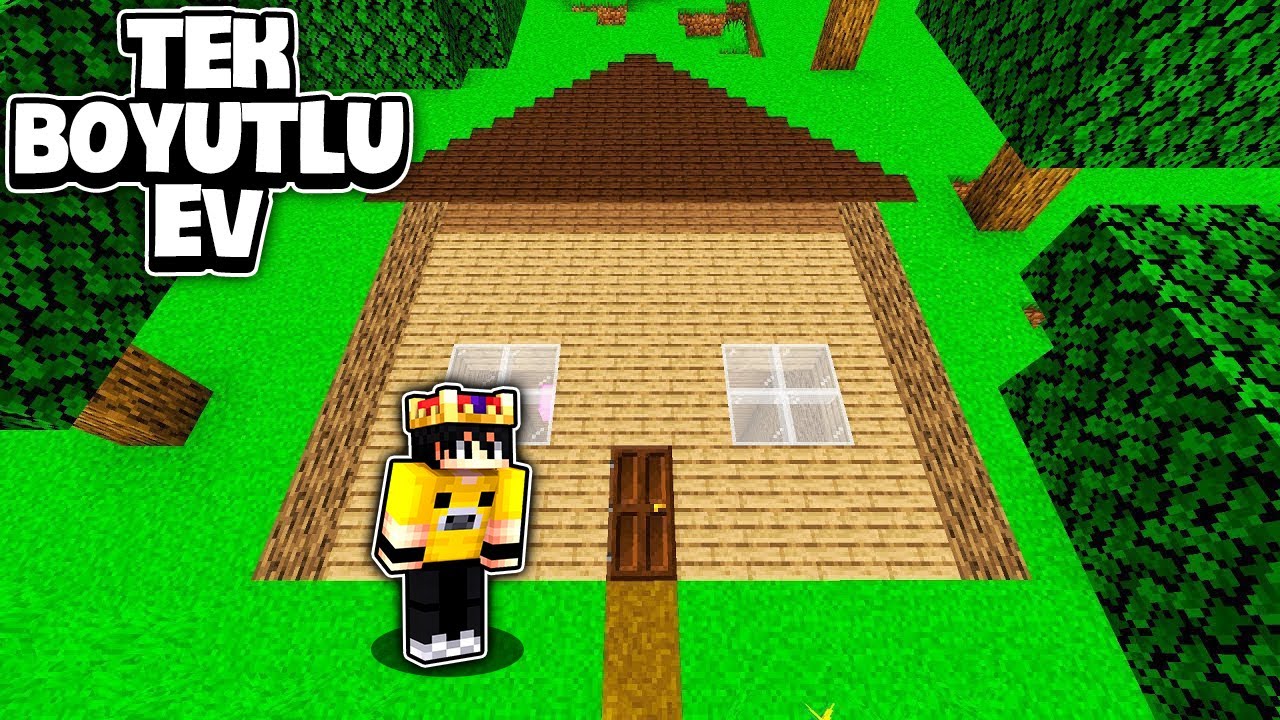 Minecraft'ta TEK BOYUTLU EV İLE SALAK KARDEŞİMİ TROLLEDİM!!