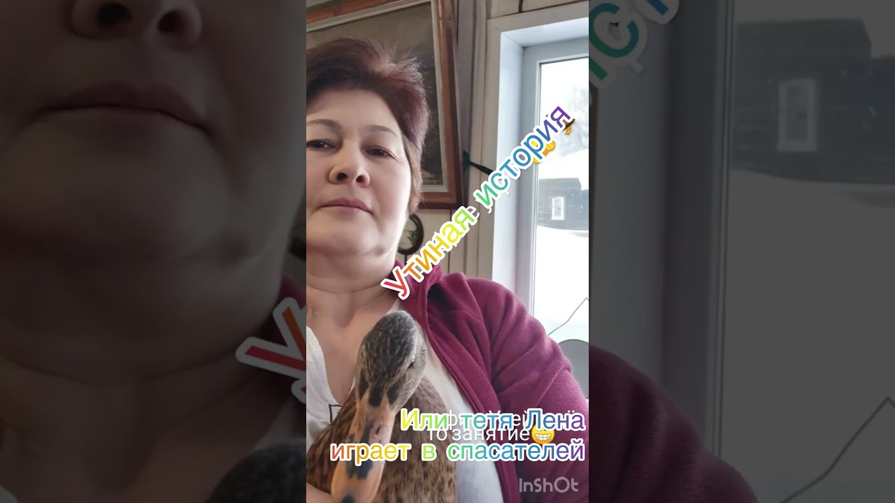 Утиная история. Или тетя Лена играет в спасателей.