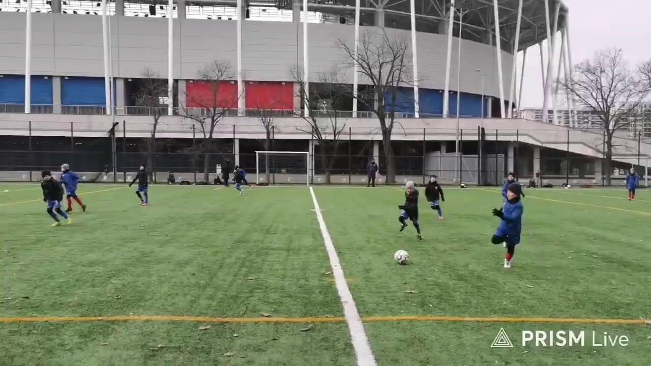 Steaua - Kinder Târgoviște    repriza 3   (01.02.2026)