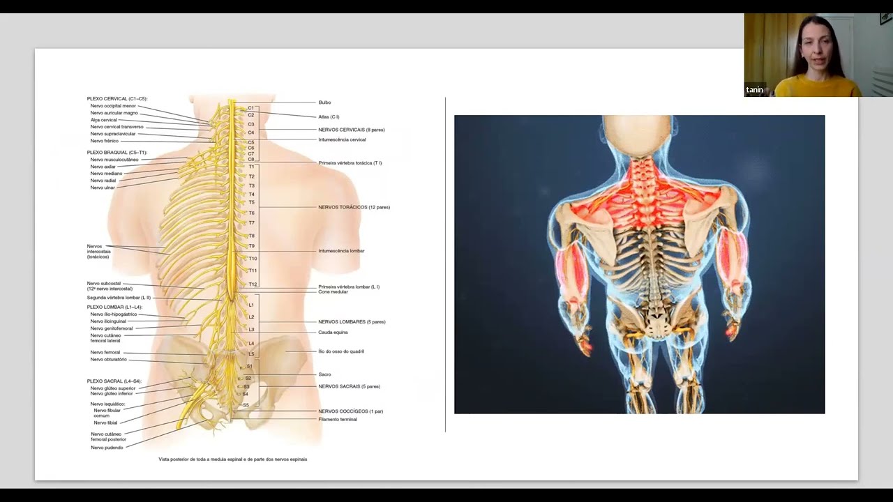 Palestra Saúde Postural Orion