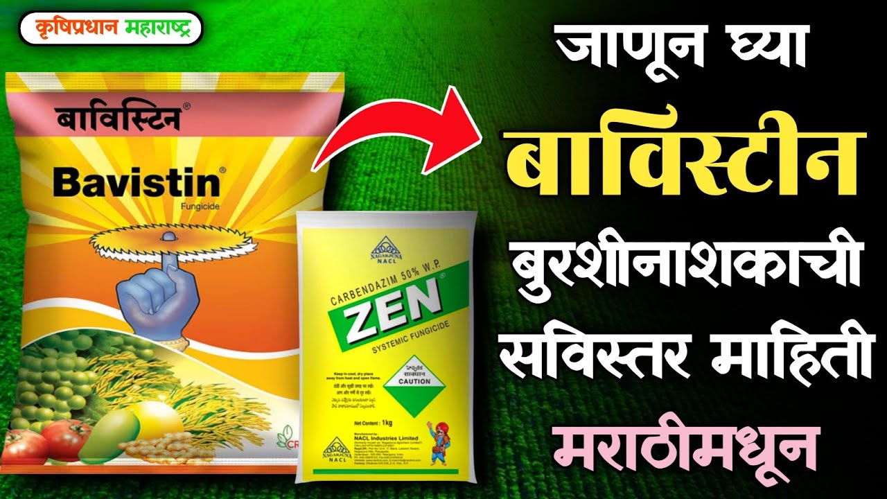 बाविस्टीन बुरशीनाशक | Bavistin Fungicide Marathi | Carbendazim 50% WP | सविस्तर माहिती मराठीमध्ये